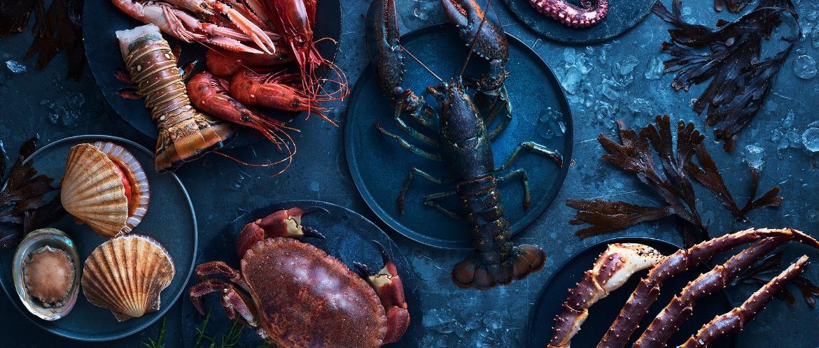 Fine Food Specialist